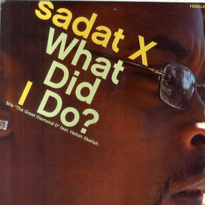 SADAT X (BRAND NUBIAN) - What Did I Do? / The Great Diamond D