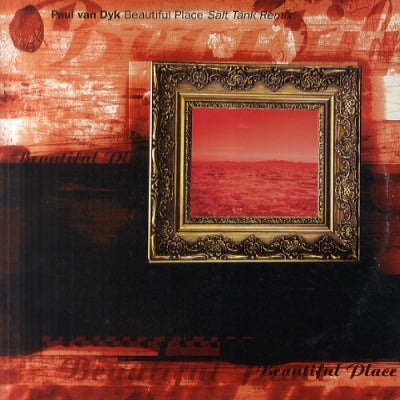 PAUL VAN DYK - Beautiful Place (Salt Tank Remix)