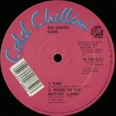 BIG DADDY KANE - Raw / Word To The Mother (Land).