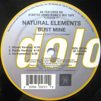 NATURAL ELEMENTS - Bust Mine / Paper Chase