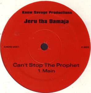JERU THE DAMAJA - Can't Stop The Prophet (Remix)