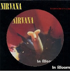 NIRVANA - In Bloom
