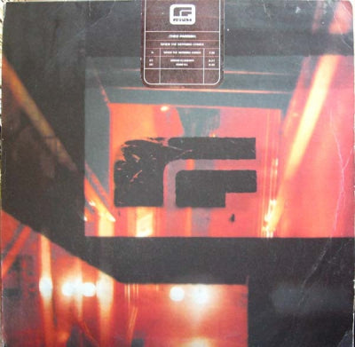 THEO PARRISH - When The Morning Comes