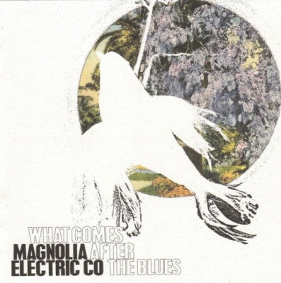 MAGNOLIA ELECTRIC CO. - What Comes After The Blues