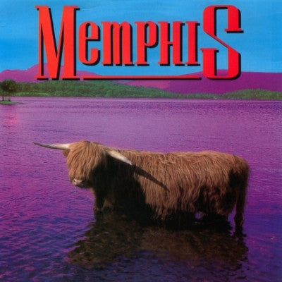 MEMPHIS - You Supply The Roses