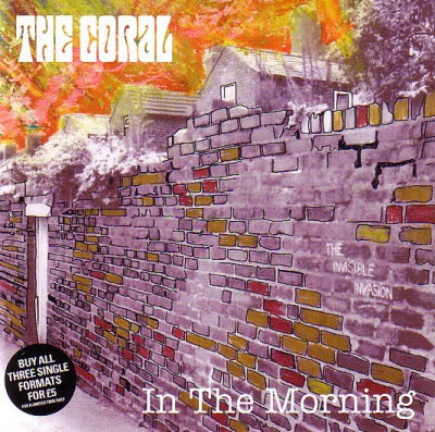 THE CORAL - In The Morning