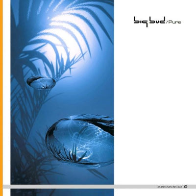 BIG BUD - Pure EP
