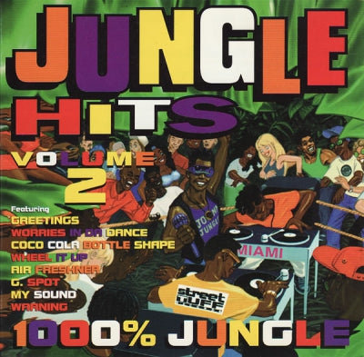 VARIOUS ARTISTS - Jungle Hits Volume : 2