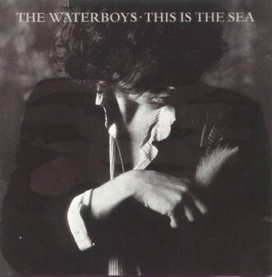 THE WATERBOYS - This Is The Sea