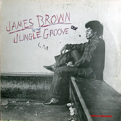 JAMES BROWN - In The Jungle Groove