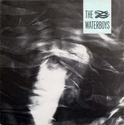 THE WATERBOYS - The Waterboys