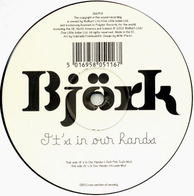 BJORK - It's In Our Hands