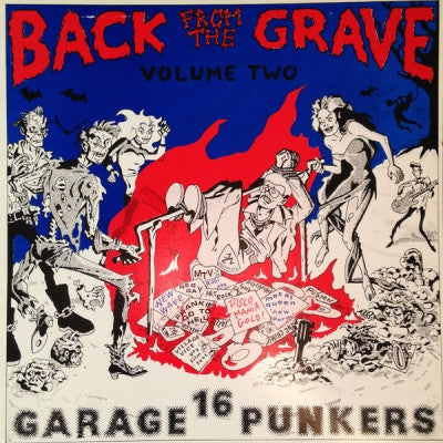 VARIOUS - Back From The Grave Volume Two