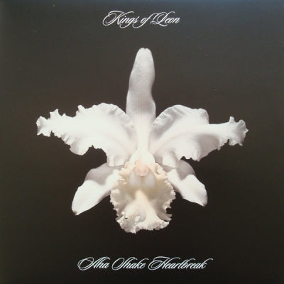 KINGS OF LEON - Aha Shake Heartbreak