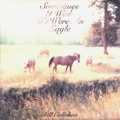 BILL CALLAHAN - Sometimes I Wish We Were An Eagle