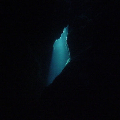 BALAM ACAB - Wander / Wonder