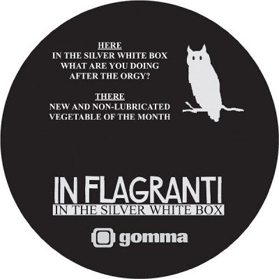 IN FLAGRANTI - In The Silver White Box