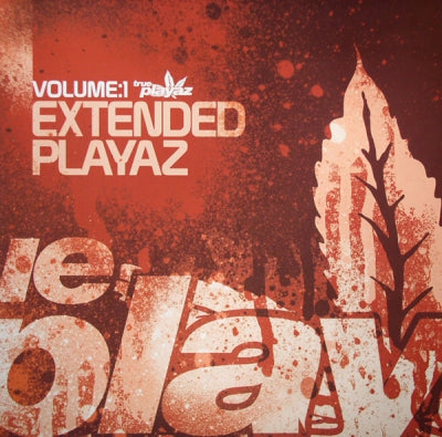 VARIOUS - Extended Playaz Volume:1