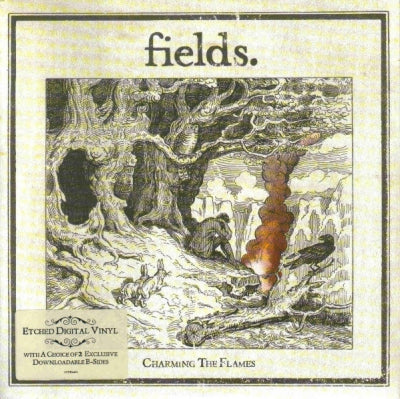 FIELDS - Charming The Flames