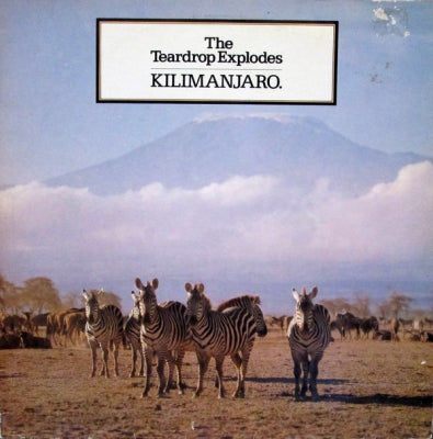 THE TEARDROP EXPLODES - Kilimanjaro