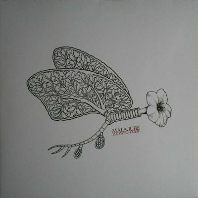 MALAJUBE - Trompe-L'Oeil