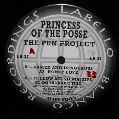 PRINCESS OF THE POSSE - The Pun Project