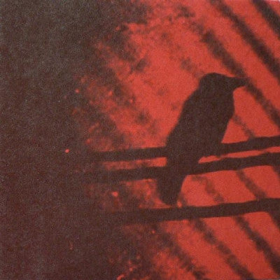 SILVER MT. ZION MEMORIAL ORCHESTRA & TRA-LA-LA BAND - Born Into Trouble As The Sparks Fly Upward