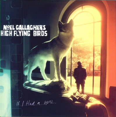 NOEL GALLAGHER'S HIGH FLYING BIRDS - If I Had A Gun...