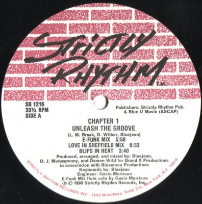 CHAPTER 1 - Unleash The Groove