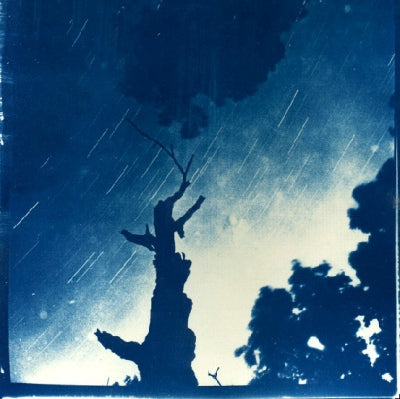 DRAGON TURTLE / GOODNIGHT STARS GOODNIGHT AIR - Split