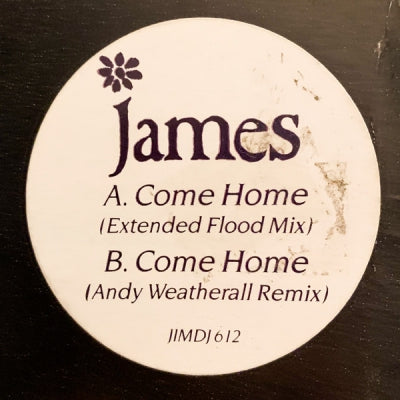 JAMES - Come Home