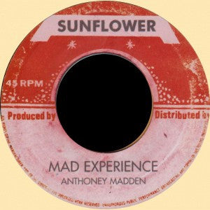 ANTHONEY MADDEN / BIG D & THE SUPPERTONER - Mad Experience / Rock Vibration.