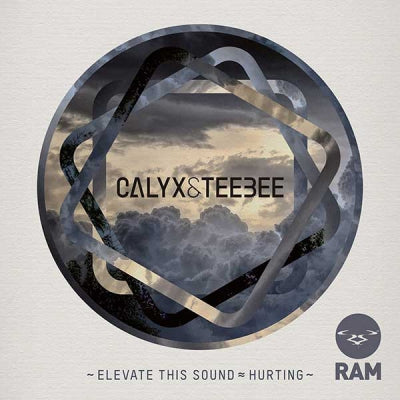 CALYX & TEEBEE - Elevate This Sound / Hurting