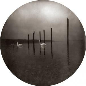 OM - Conference Of The Birds