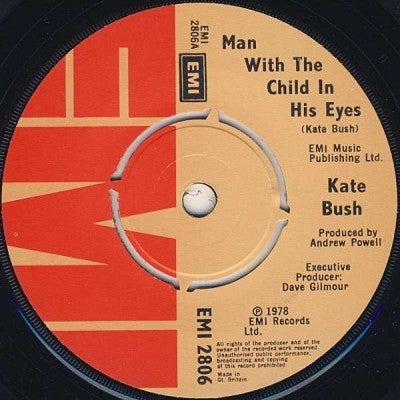 KATE BUSH - The Man With The Child In His Eyes