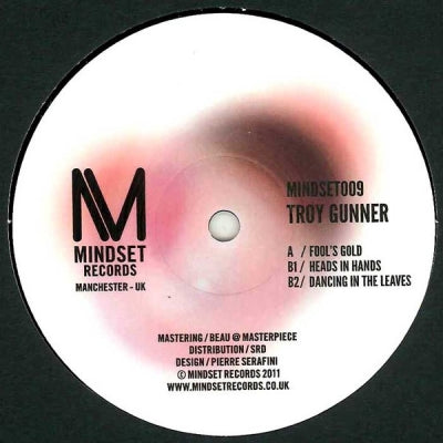TROY GUNNER - Fool's Gold