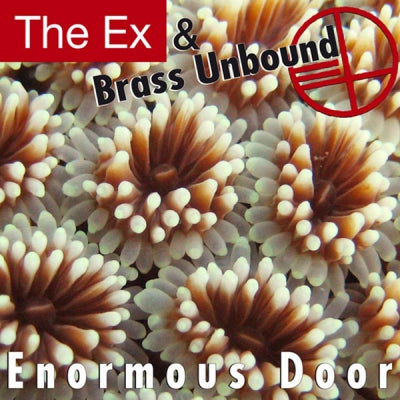 THE EX & BRASS UNBOUND - Enormous Door