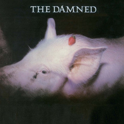 THE DAMNED - Strawberries