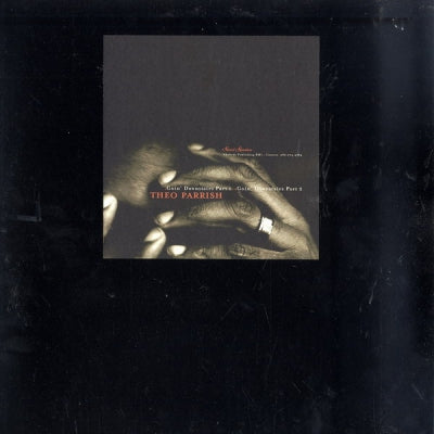 THEO PARRISH - Goin' Downstairs