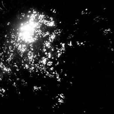 BITCHIN BAJAS - Water Wrackets