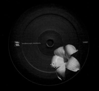 PERC & MODERN HEADS - Dax
