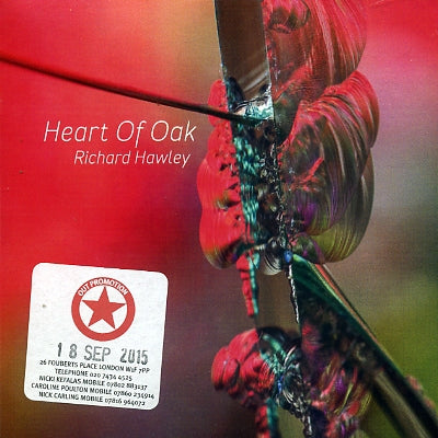 RICHARD HAWLEY - Heart Of Oak
