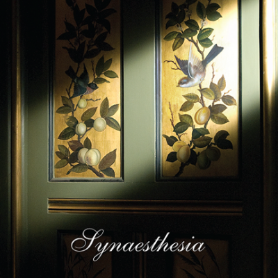 THE NIGHTJAR ORCHESTRA - Synaesthesia