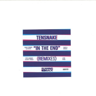 TENSNAKE - In The End (remixes)