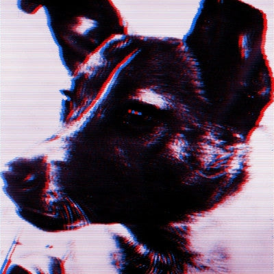 PANTHERA KRAUSE - Laika