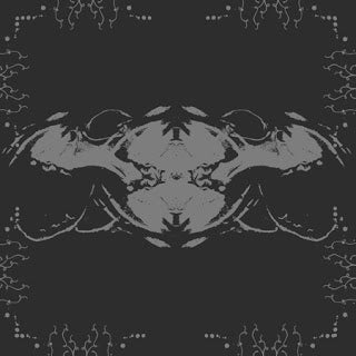 PANTHER SKULL - Transistor Owls