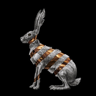 SAN FERMIN - Jackrabbit