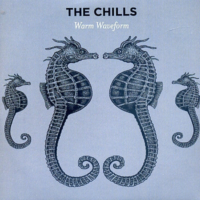 THE CHILLS - Warm Waveform