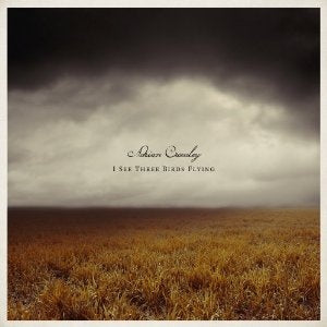 ADRIAN CROWLEY - I See Three Birds Flying
