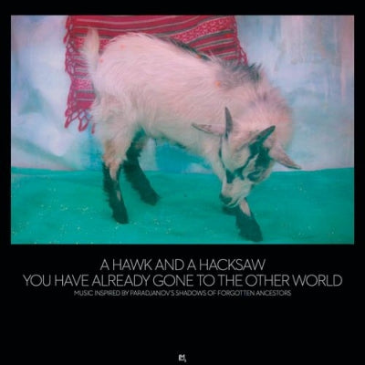 A HAWK AND A HACKSAW - You Have Already Gone To The Other World